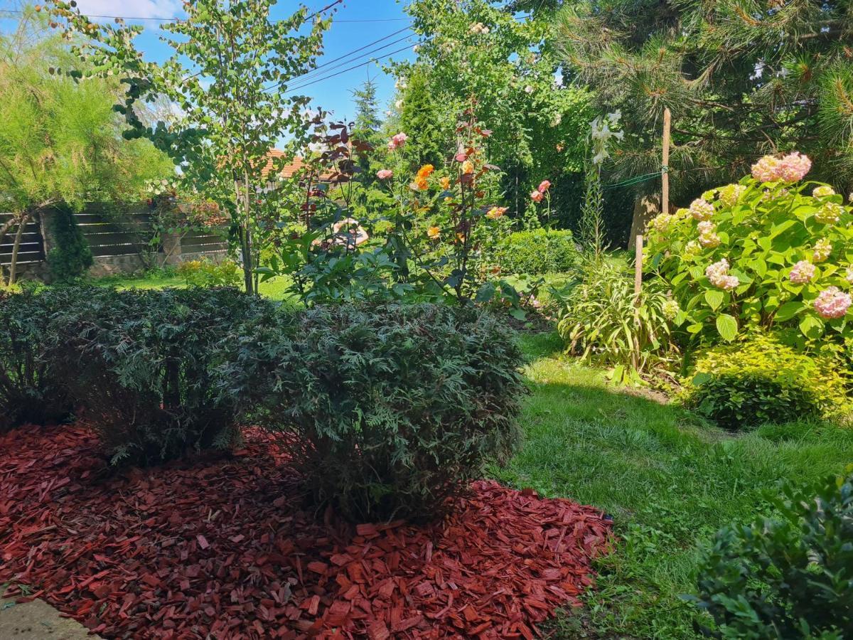 Natura Apartment Belgrade Luaran gambar