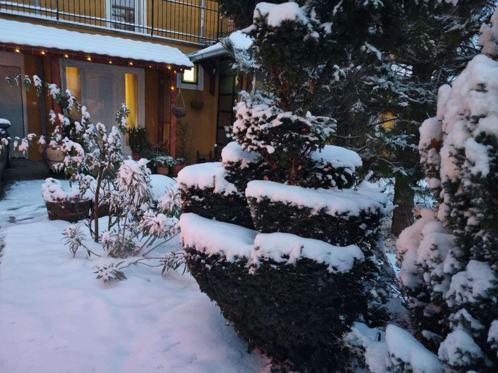Natura Apartment Belgrade Luaran gambar